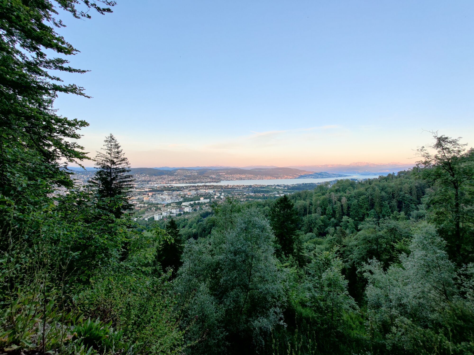 Grill-Fest auf dem Uetliberg