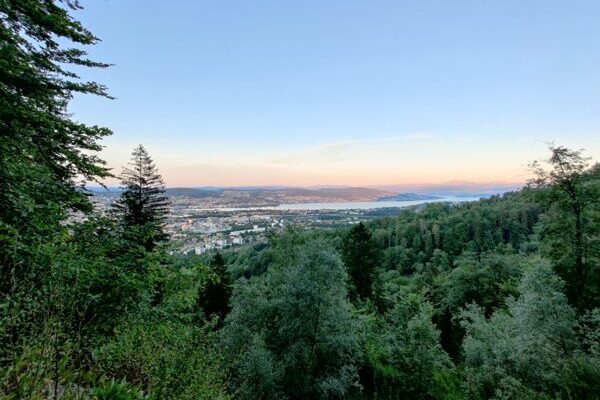 Grill-Fest auf dem Uetliberg