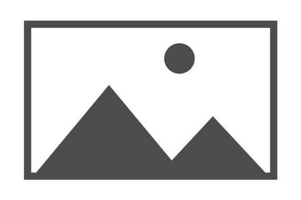 /resources/placeholder_281.jpg